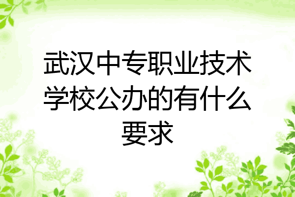 武汉中专职业技术学校公办的有什么要求