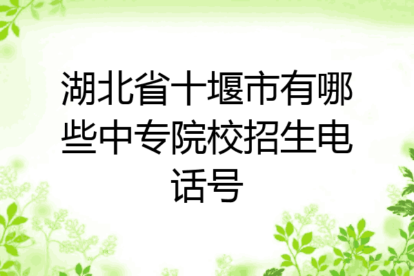 湖北省十堰市有哪些中专院校招生电话号