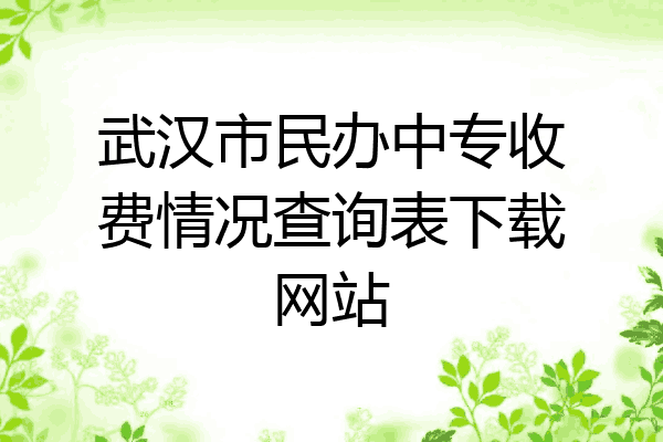 武汉市民办中专收费情况查询表下载网站