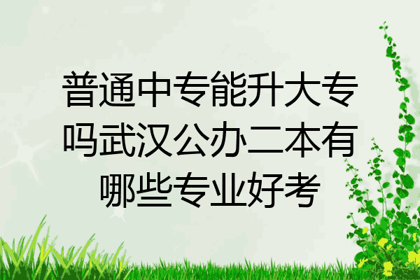 普通中专能升大专吗武汉公办二本有哪些专业好考