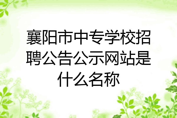 襄阳市中专学校招聘公告公示网站是什么名称