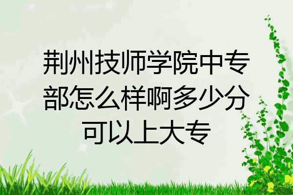 荆州技师学院中专部怎么样啊多少分可以上大专