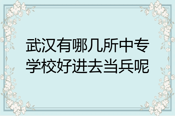 武汉有哪几所中专学校好进去当兵呢