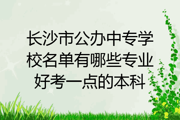 长沙市公办中专学校名单有哪些专业好考一点的本科