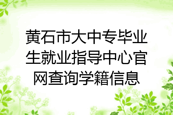 黄石市大中专毕业生就业指导中心官网查询学籍信息