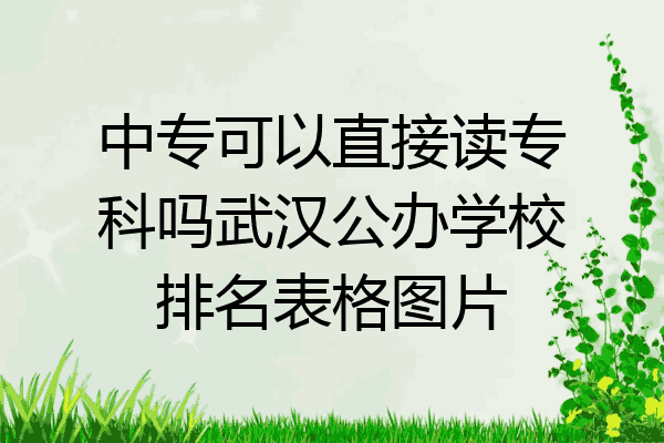 中专可以直接读专科吗武汉公办学校排名表格图片