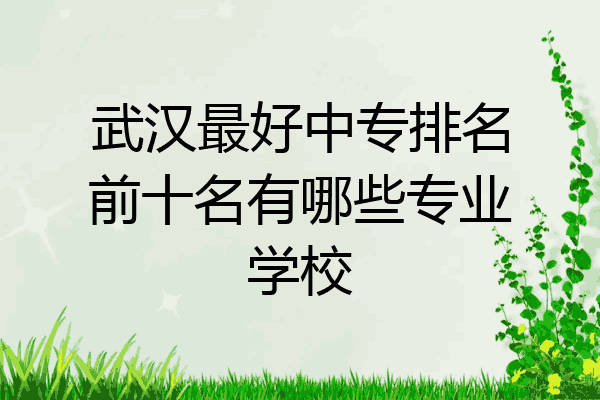 武汉最好中专排名前十名有哪些专业学校
