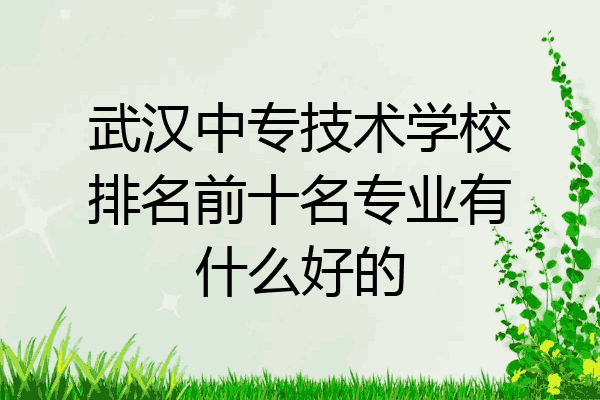 武汉中专技术学校排名前十名专业有什么好的