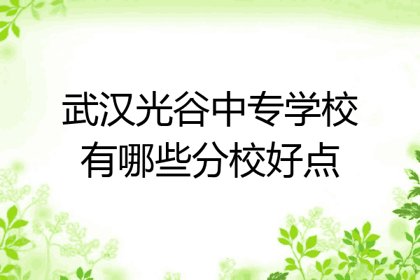 武汉光谷中专学校有哪些分校好点