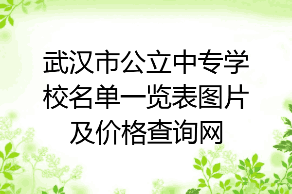武汉市公立中专学校名单一览表图片及价格查询网