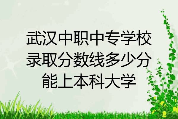 武汉中职中专学校录取分数线多少分能上本科大学