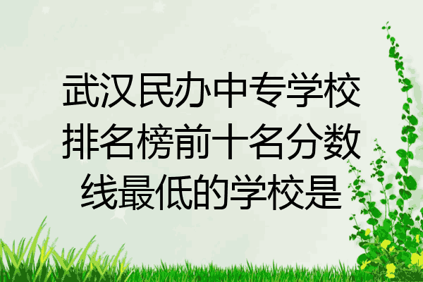 武汉民办中专学校排名榜前十名分数线最低的学校是