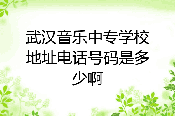 武汉音乐中专学校地址电话号码是多少啊
