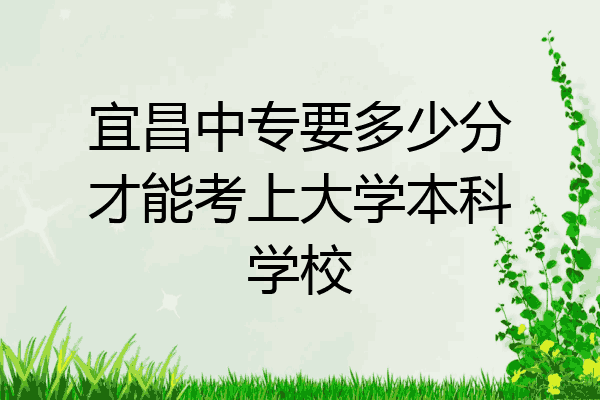 宜昌中专要多少分才能考上大学本科学校