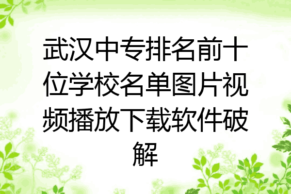 武汉中专排名前十位学校名单图片视频播放下载软件破解