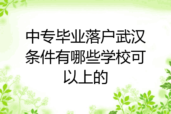 中专毕业落户武汉条件有哪些学校可以上的