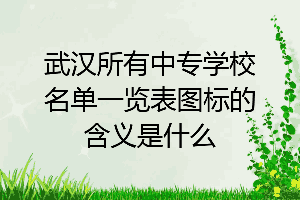 武汉所有中专学校名单一览表图标的含义是什么