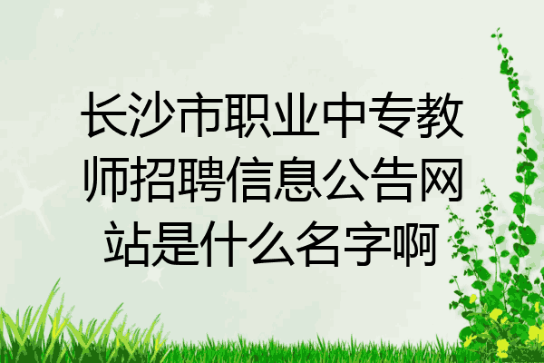 长沙市职业中专教师招聘信息公告网站是什么名字啊