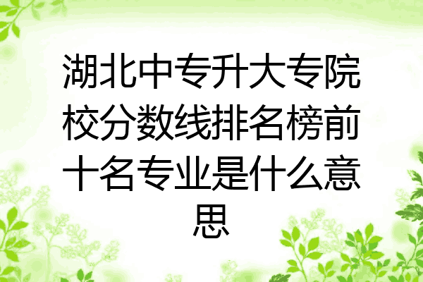 湖北中专升大专院校分数线排名榜前十名专业是什么意思