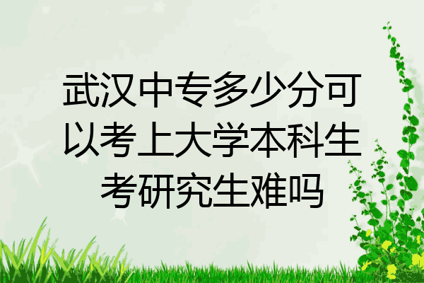 武汉中专多少分可以考上大学本科生考研究生难吗