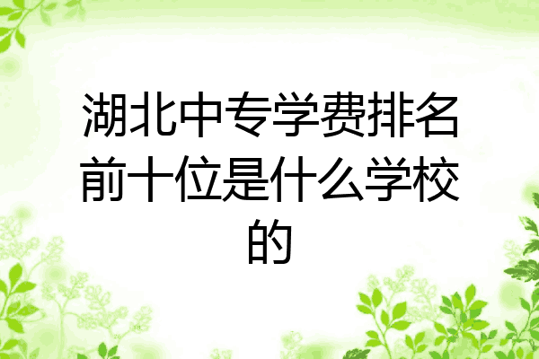 湖北中专学费排名前十位是什么学校的