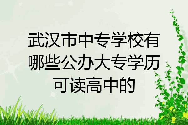 武汉市中专学校有哪些公办大专学历可读高中的