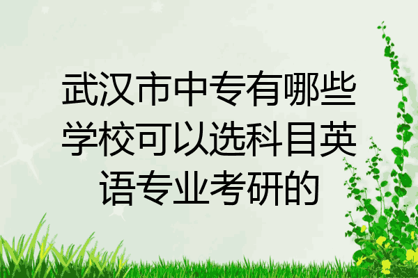 武汉市中专有哪些学校可以选科目英语专业考研的