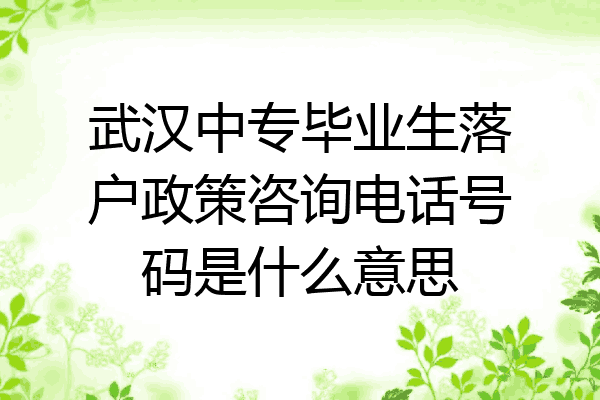武汉中专毕业生落户政策咨询电话号码是什么意思