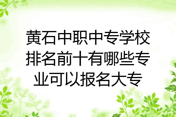 黄石中职中专学校排名前十有哪些专业可以报名大专