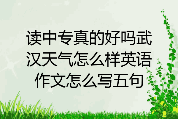 读中专真的好吗武汉天气怎么样英语作文怎么写五句