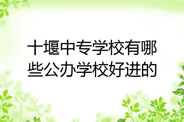 十堰中专学校有哪些公办学校好进的