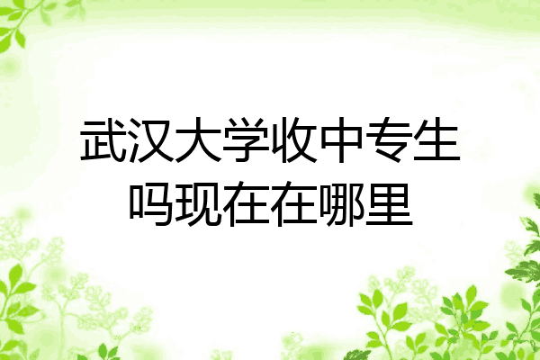 武汉大学收中专生吗现在在哪里