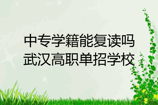 中专学籍能复读吗武汉高职单招学校