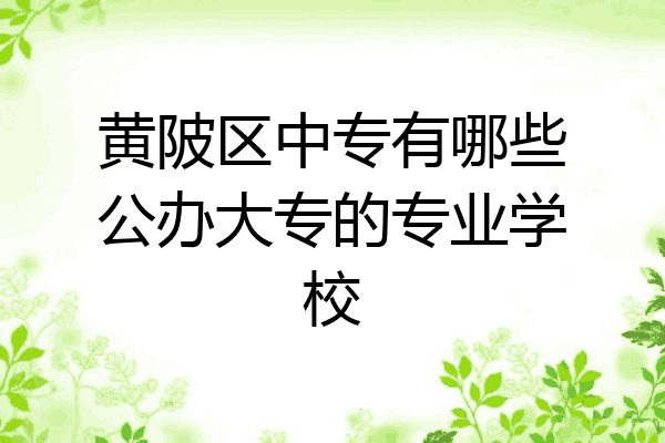 黄陂区中专有哪些公办大专的专业学校