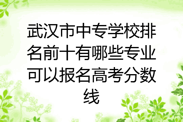 武汉市中专学校排名前十有哪些专业可以报名高考分数线