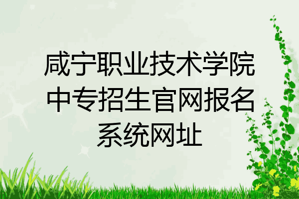 咸宁职业技术学院中专招生官网报名系统网址
