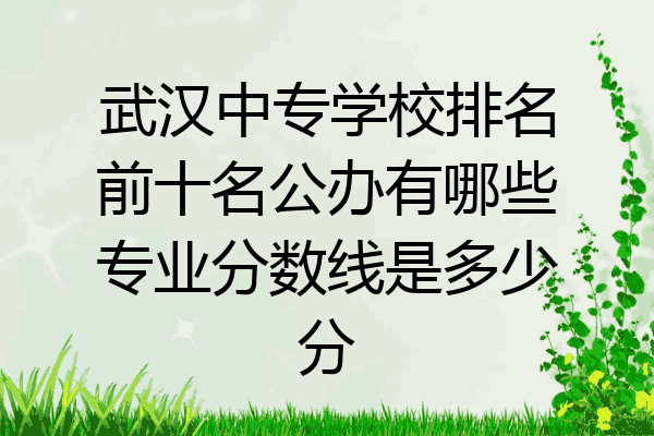 武汉中专学校排名前十名公办有哪些专业分数线是多少分