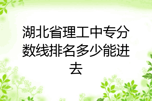 湖北省理工中专分数线排名多少能进去