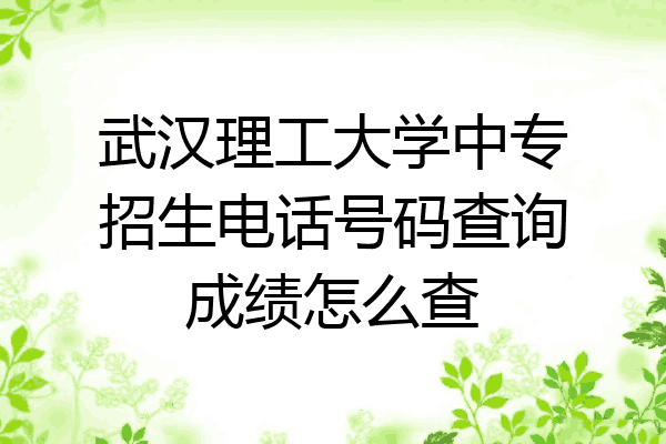 武汉理工大学中专招生电话号码查询成绩怎么查