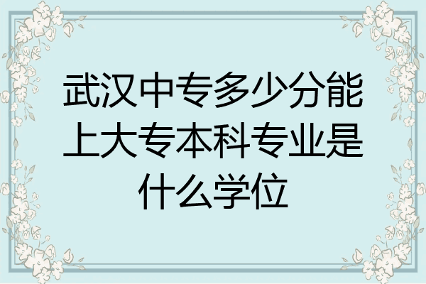 武汉中专多少分能上大专本科专业是什么学位