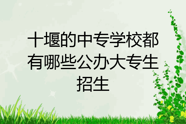十堰的中专学校都有哪些公办大专生招生