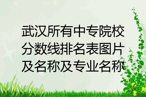 武汉所有中专院校分数线排名表图片及名称及专业名称