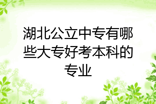 湖北公立中专有哪些大专好考本科的专业