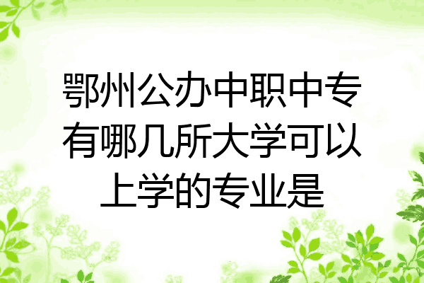 鄂州公办中职中专有哪几所大学可以上学的专业是