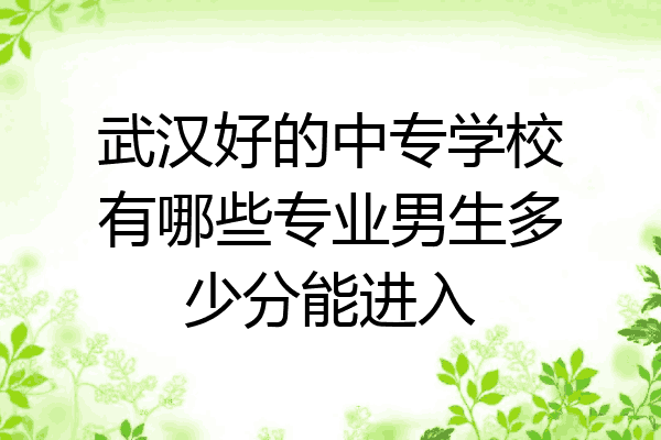 武汉好的中专学校有哪些专业男生多少分能进入