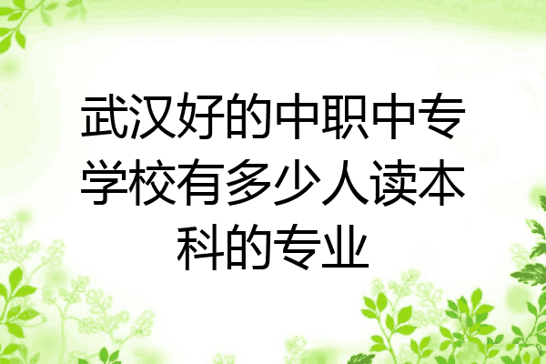 武汉好的中职中专学校有多少人读本科的专业