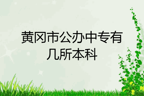 黄冈市公办中专有几所本科