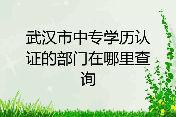 武汉市中专学历认证的部门在哪里查询
