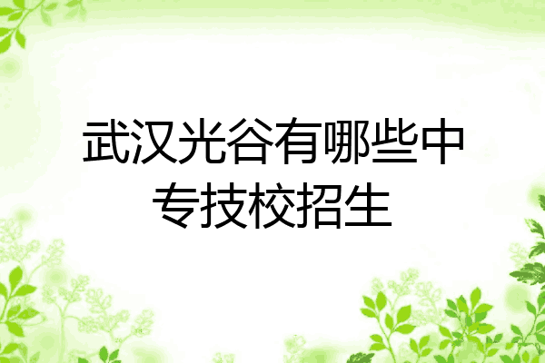 武汉光谷有哪些中专技校招生