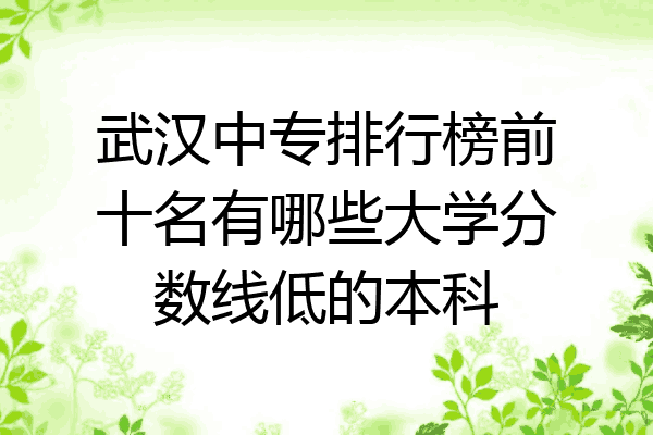 武汉中专排行榜前十名有哪些大学分数线低的本科